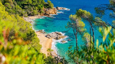 A coastal landscape with a beach, clear turquoise waters, and dense green foliage.