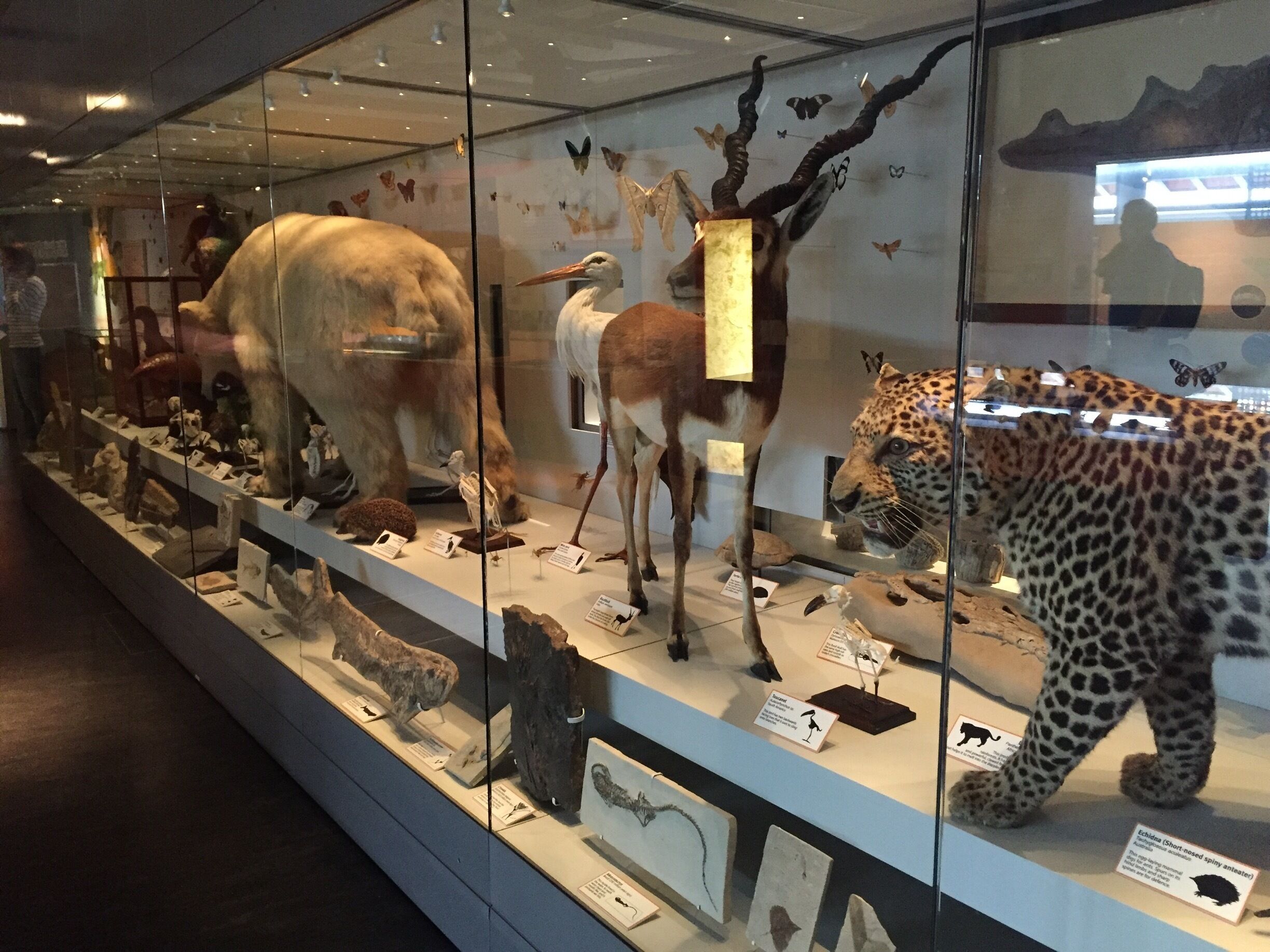 #Birmingham #City #Museum #ScienceMuseum #ThinkTank #Science #Educational #DayOut #DayTrip