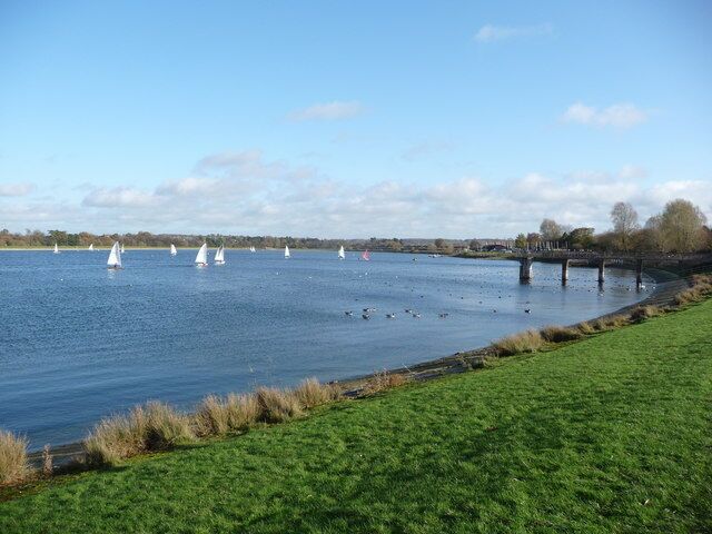 Shustoke Reservoir On a sunny, blowy Sunday the sailing club is busy and a flock of Canada geese and a few pairs of swans are also out on the water.