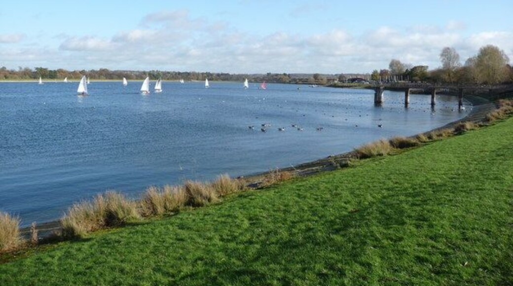 Shustoke Reservoir On a sunny, blowy Sunday the sailing club is busy and a flock of Canada geese and a few pairs of swans are also out on the water.