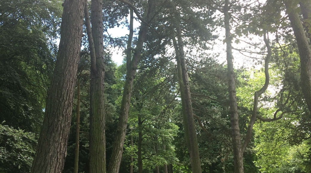 Cannon Hill Park, lovely for a stroll or a ride in a swan-shaped pedalo on the lake. Attached to Midlands Arts Centre where you can get a cafe lunch, see an independent film or do an art class.