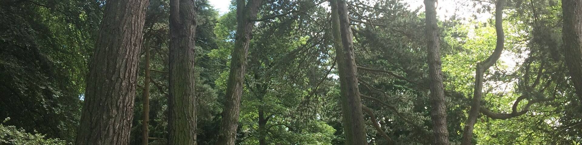 Cannon Hill Park, lovely for a stroll or a ride in a swan-shaped pedalo on the lake. Attached to Midlands Arts Centre where you can get a cafe lunch, see an independent film or do an art class.