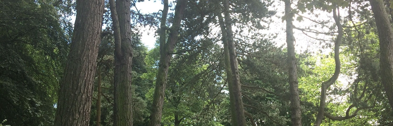 Cannon Hill Park, lovely for a stroll or a ride in a swan-shaped pedalo on the lake. Attached to Midlands Arts Centre where you can get a cafe lunch, see an independent film or do an art class.