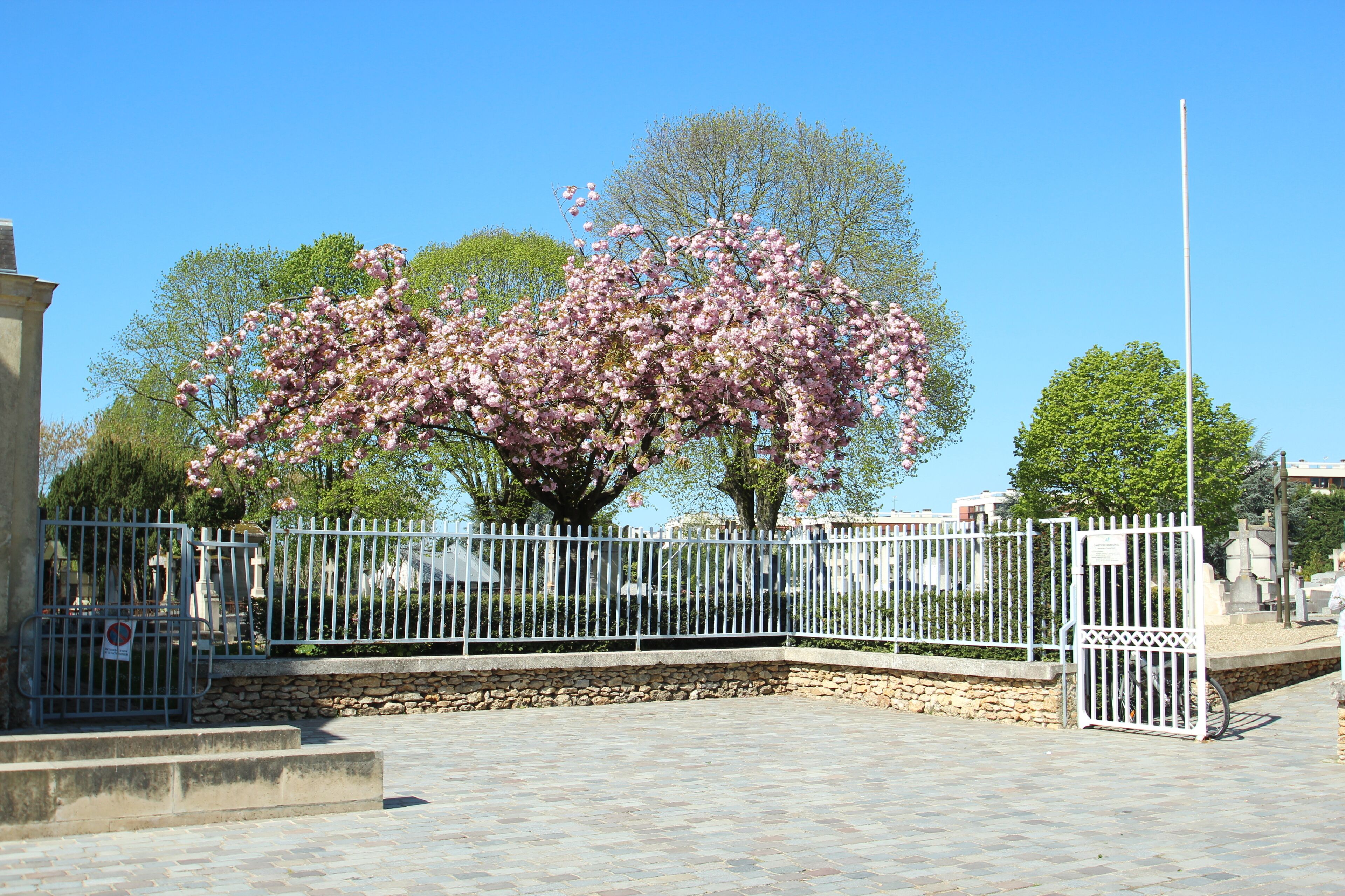 Cemetery of Le Chesnay, France.