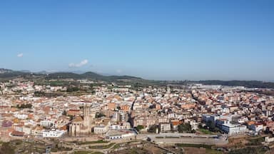 Vista panorámica de una ciudad costera con una catedral destacada, un área urbana densa y colinas circundantes.