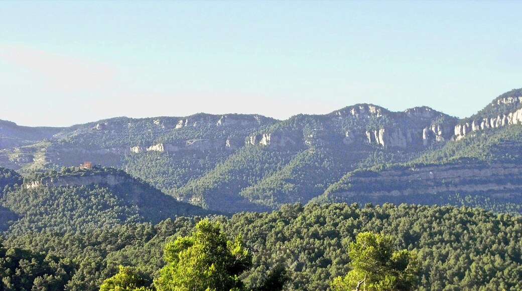 Cingles de Gallifa des de Sant Sebastià de Montmajor