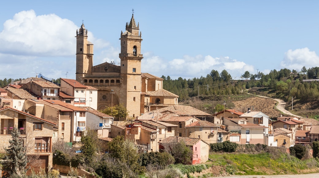 Village of Haro in La Rioja, Spain
