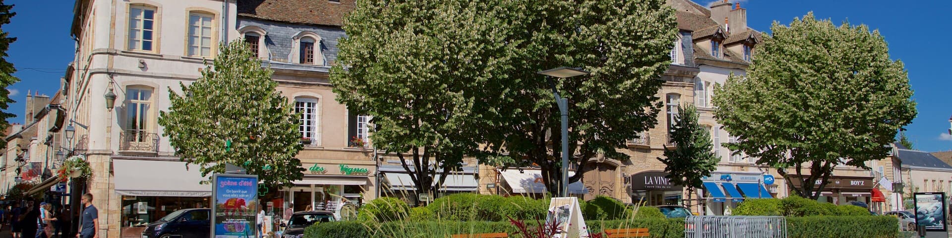 A town square with historic buildings, trees, and a flower garden.