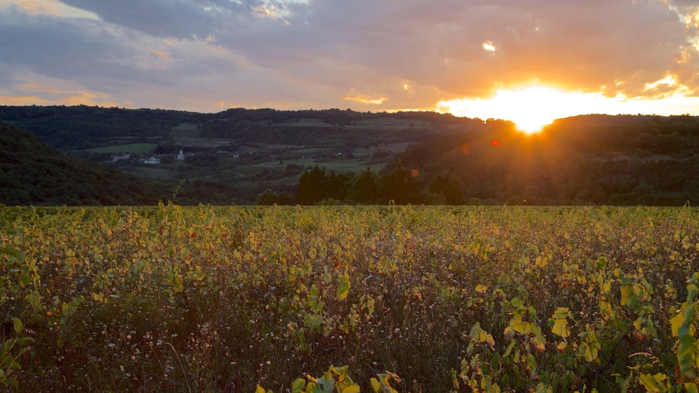 Beaune mit einem Sonnenuntergang, ruhige Szenerie und Landschaften