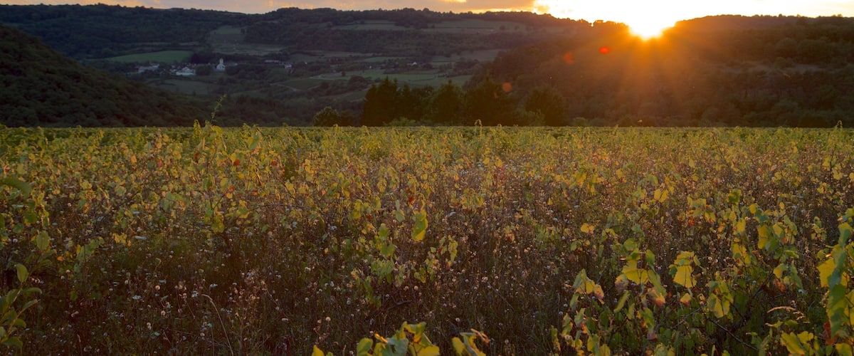 Beaune showing a sunset, tranquil scenes and landscape views
