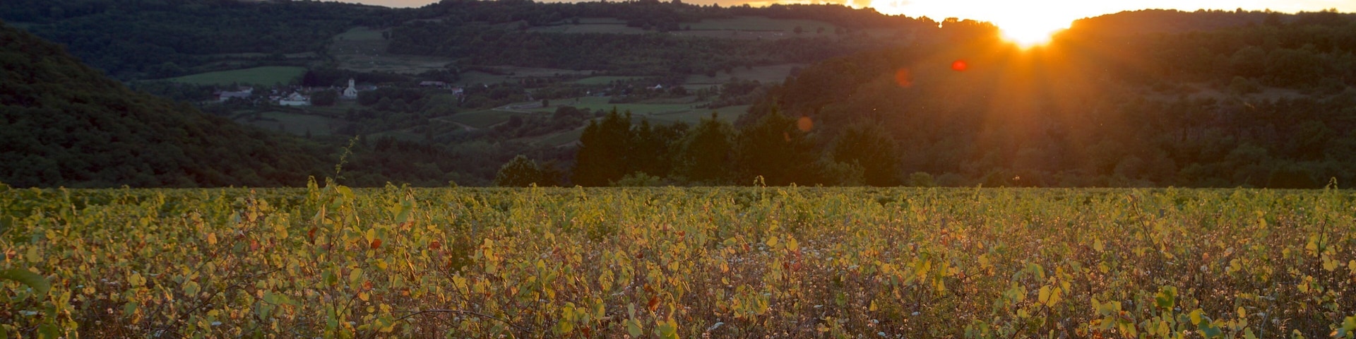 Beaune showing tranquil scenes, landscape views and a sunset