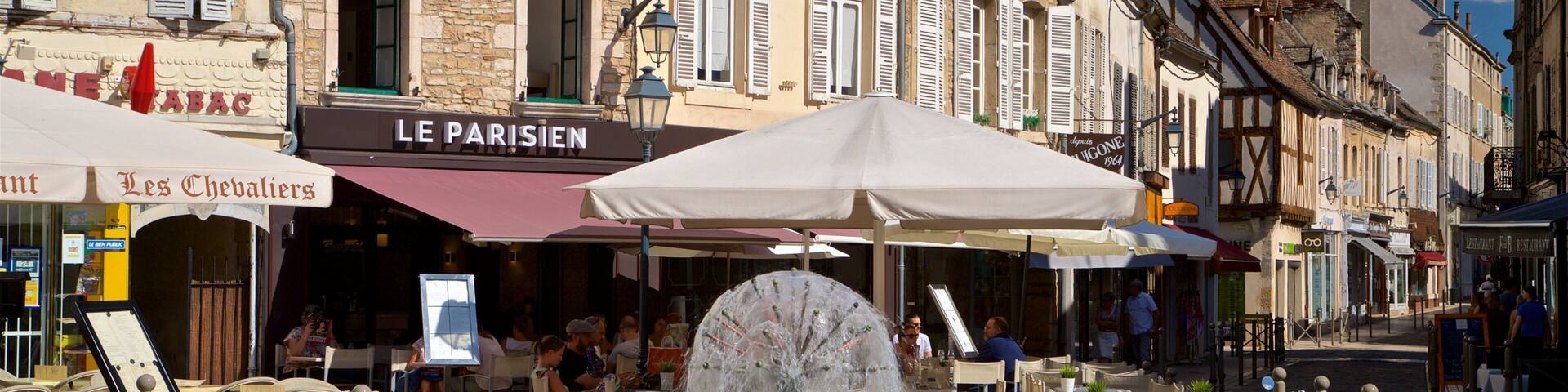 Beaune which includes a fountain