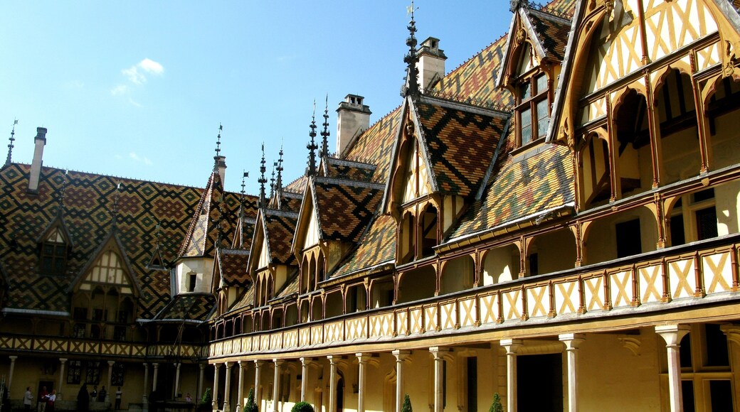 A place to heal not just the physical but also to feed the soul: with hospice care surrounded by some of the finest art treasures of the day, Hospices de Beaune is a place full of beauty and history.