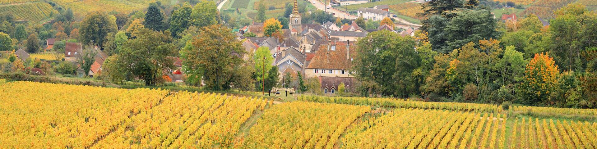 The village of Pernand Vergelesses, Burgundy, France