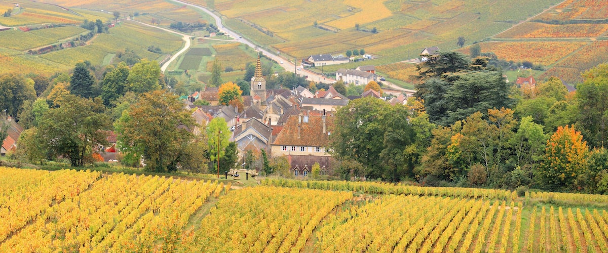 A vineyard with rows of grapevines, a church with a tall spire, and a village with houses and a road winding through the hills.