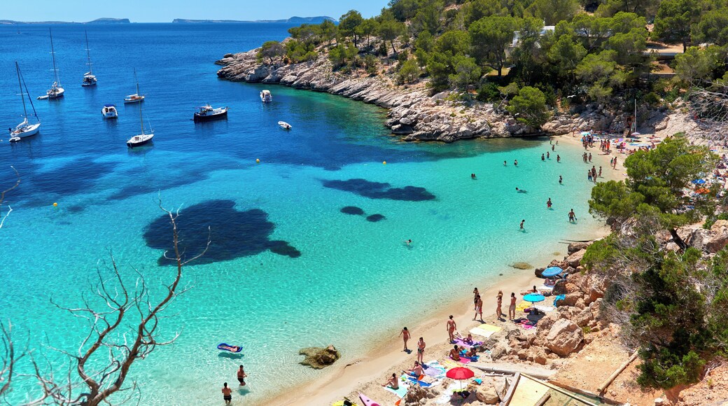 Sant Antoni de Portmany