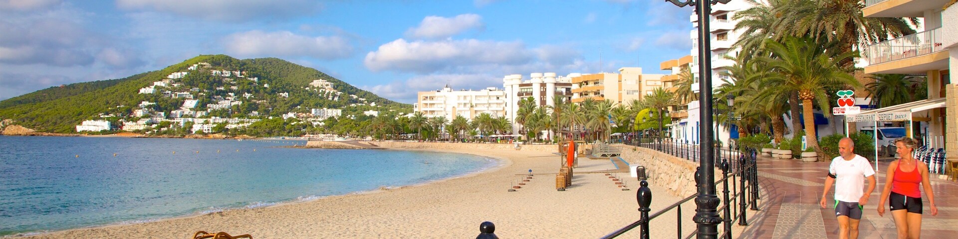 A beach with a promenade, palm trees, and buildings in the background.