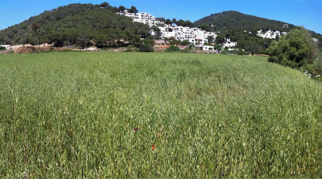 can Xomeu d'en Mossènyer i el