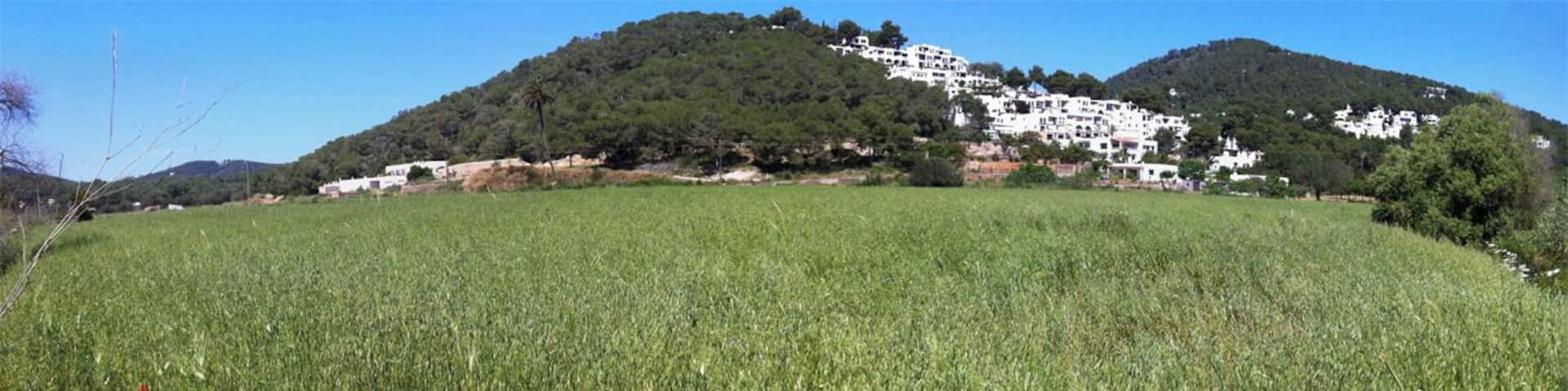 can Xomeu d'en Mossènyer i el