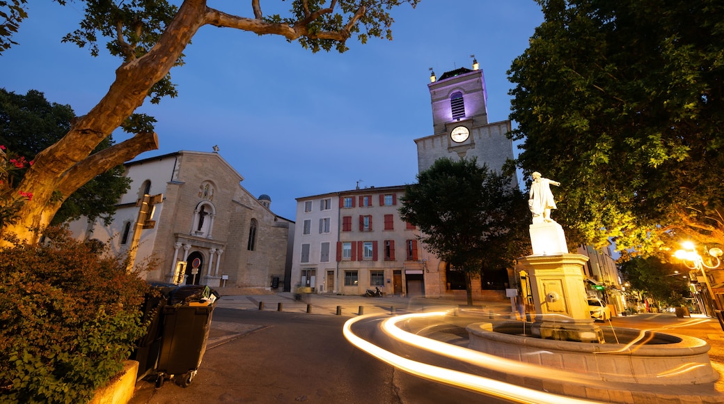 A historic town square with a clock tower, a statue, and a fountain.