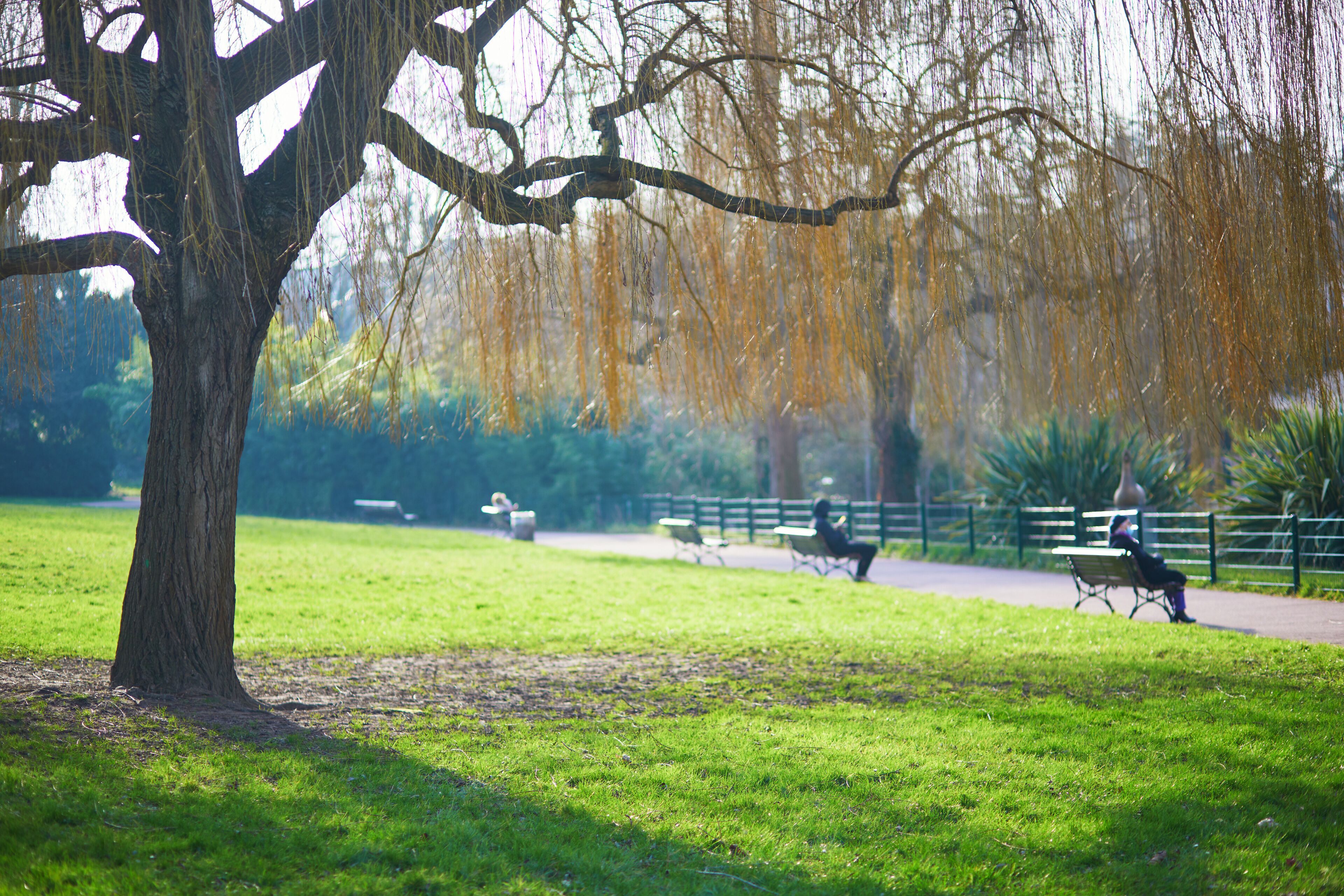 Bright spring scene in Parc Frederic Pic in Vanves, France