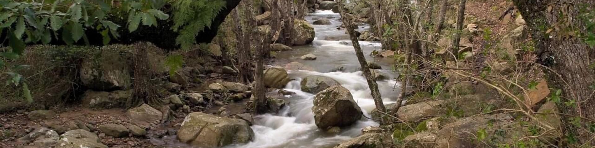 Para Reto 24h. Un agradable paseo por el rio Guadalmesi hace un par de años creo. Me gustaba como la rama del arbol enmarcaba la parte alta de la foto y como el rio me llevaba la vista hacia la parte izquierda de la imagen. Espero que os guste