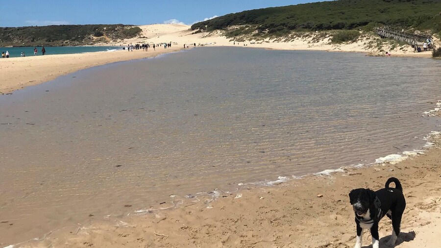 He absolutely loved it #beach #lifeatexpedia