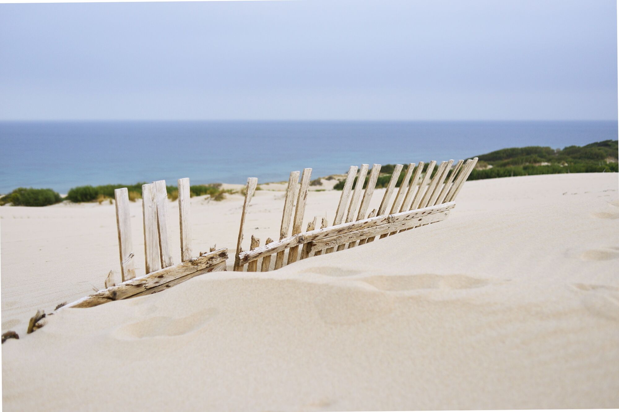 Cadiz has the best beaches in the South of Spain - Atlantic Ocean, white sand, dunes and pine trees. Cadiz coastline is not ruined by construction like Costa del Sol. It often gets windy there, making it a favourite spot for kite surfers. So if you just want to lay on the beach, check the weather forecast for the strength of winds. #BeachBound