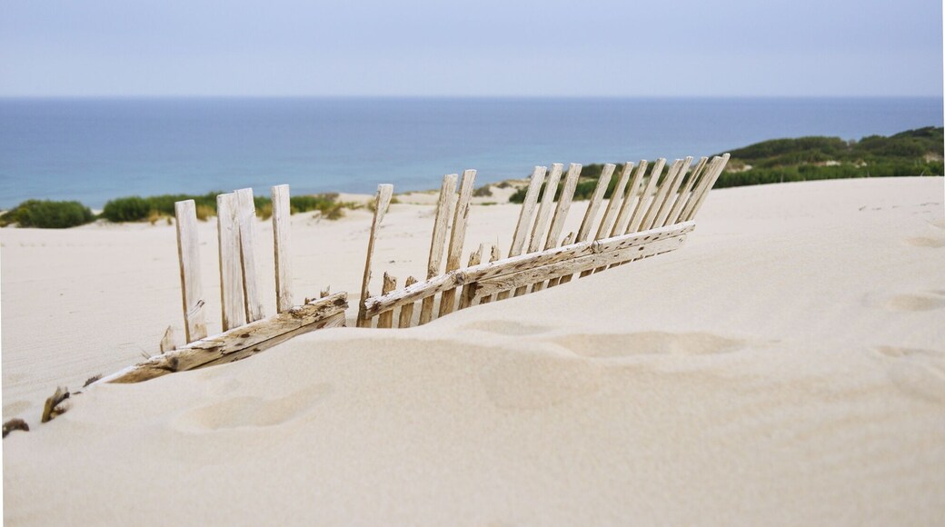 Cadiz has the best beaches in the South of Spain - Atlantic Ocean, white sand, dunes and pine trees. Cadiz coastline is not ruined by construction like Costa del Sol. It often gets windy there, making it a favourite spot for kite surfers. So if you just want to lay on the beach, check the weather forecast for the strength of winds. #BeachBound