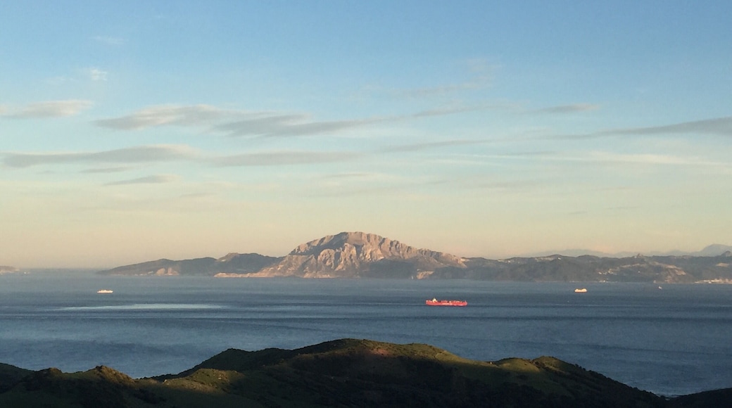 instagram: alicia_lehmann