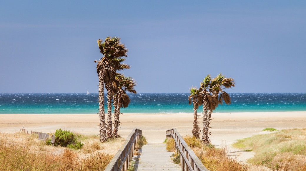 beach of Tarifa, Andalusia, Spain,