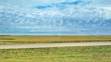 Just outside Winnipeg the ground is pretty much flat. People were not kidding when they said how flat it was. Especially in contrast to Ontario which has cliffs, valleys, trees and gorgeous lakes.
The roads are so flat they can be runways for airports.
I'm almost at Brandon MB and other than the city of Winnipeg which was quite large, the rest is like this.