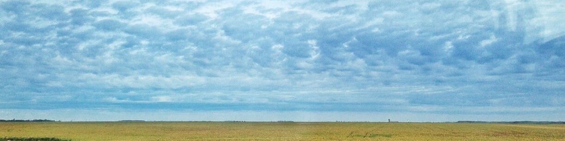 Just outside Winnipeg the ground is pretty much flat. People were not kidding when they said how flat it was. Especially in contrast to Ontario which has cliffs, valleys, trees and gorgeous lakes.
The roads are so flat they can be runways for airports.
I'm almost at Brandon MB and other than the city of Winnipeg which was quite large, the rest is like this.