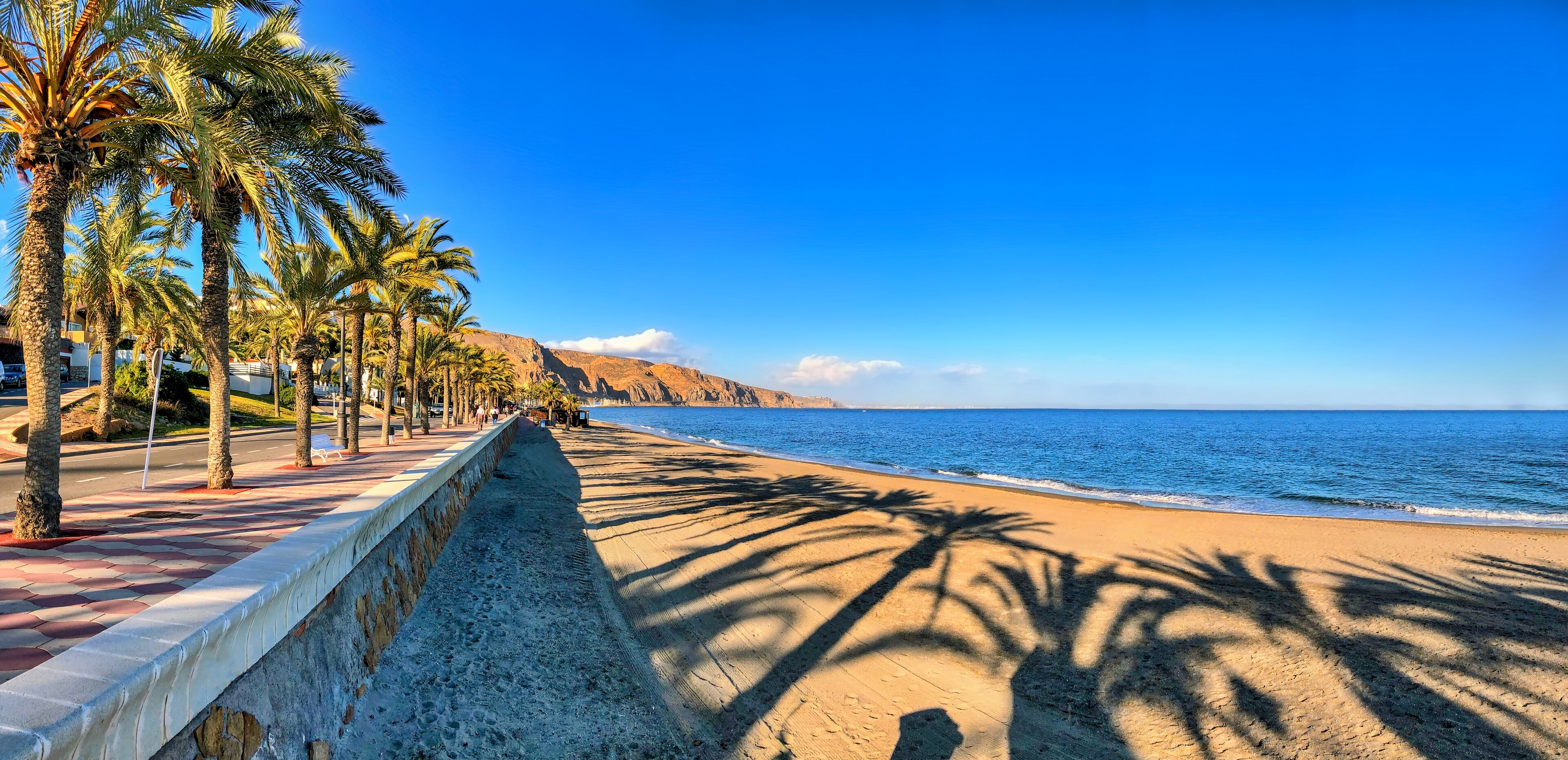 Una playa con palmeras, un cielo azul despejado y un acantilado rocoso al fondo.