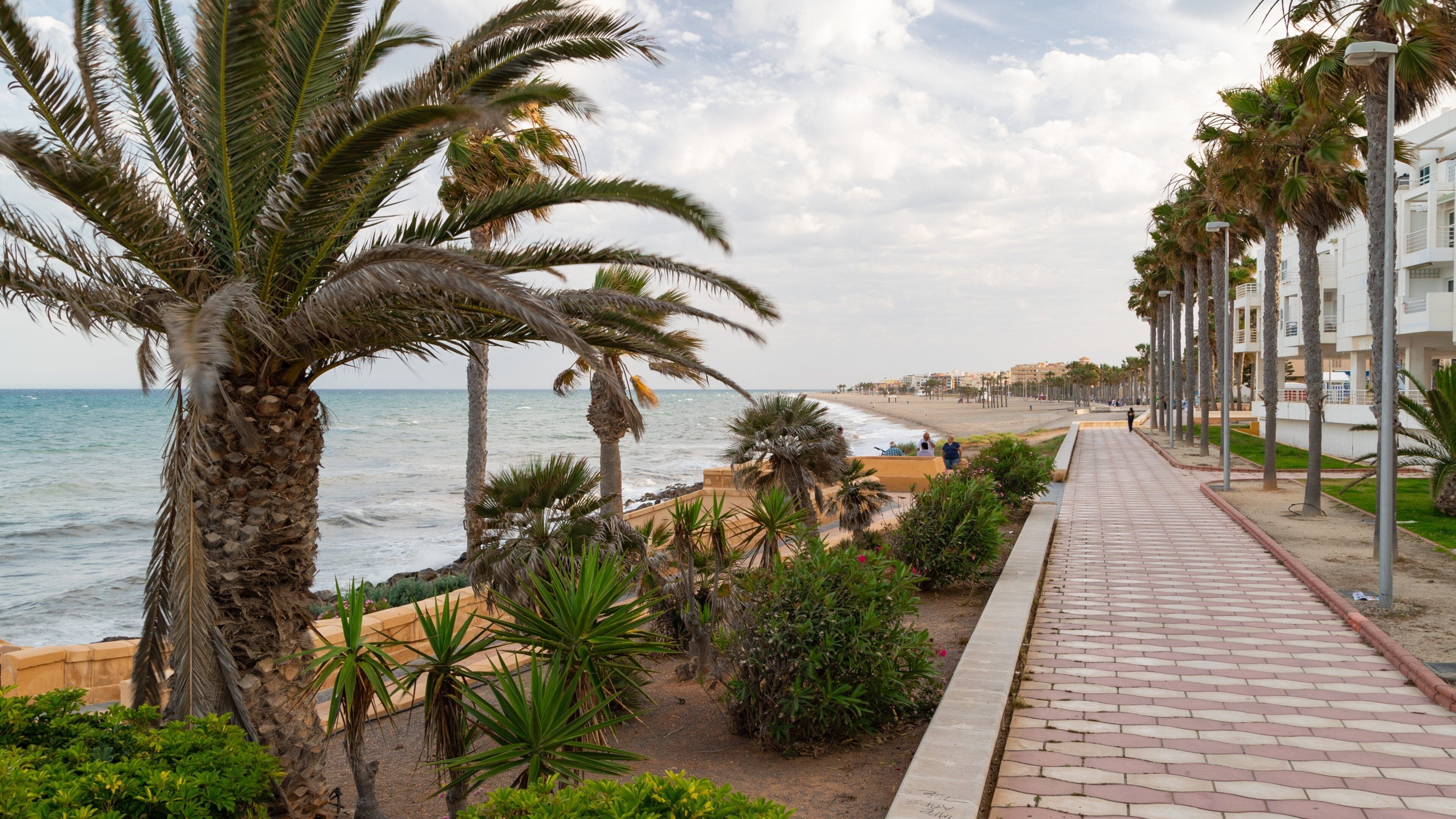 Roquetas de Mar showing general coastal views and a coastal town
