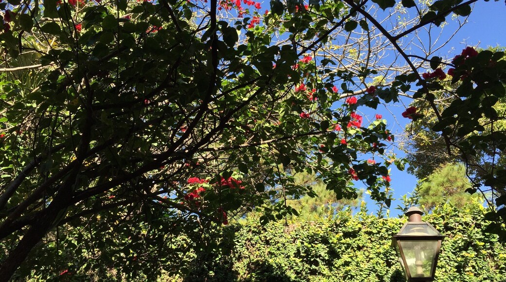 Surroumded by narure, you will hear birds and smell floeers