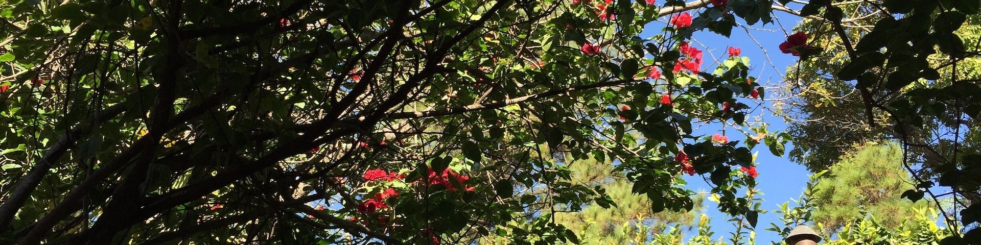 Surroumded by narure, you will hear birds and smell floeers