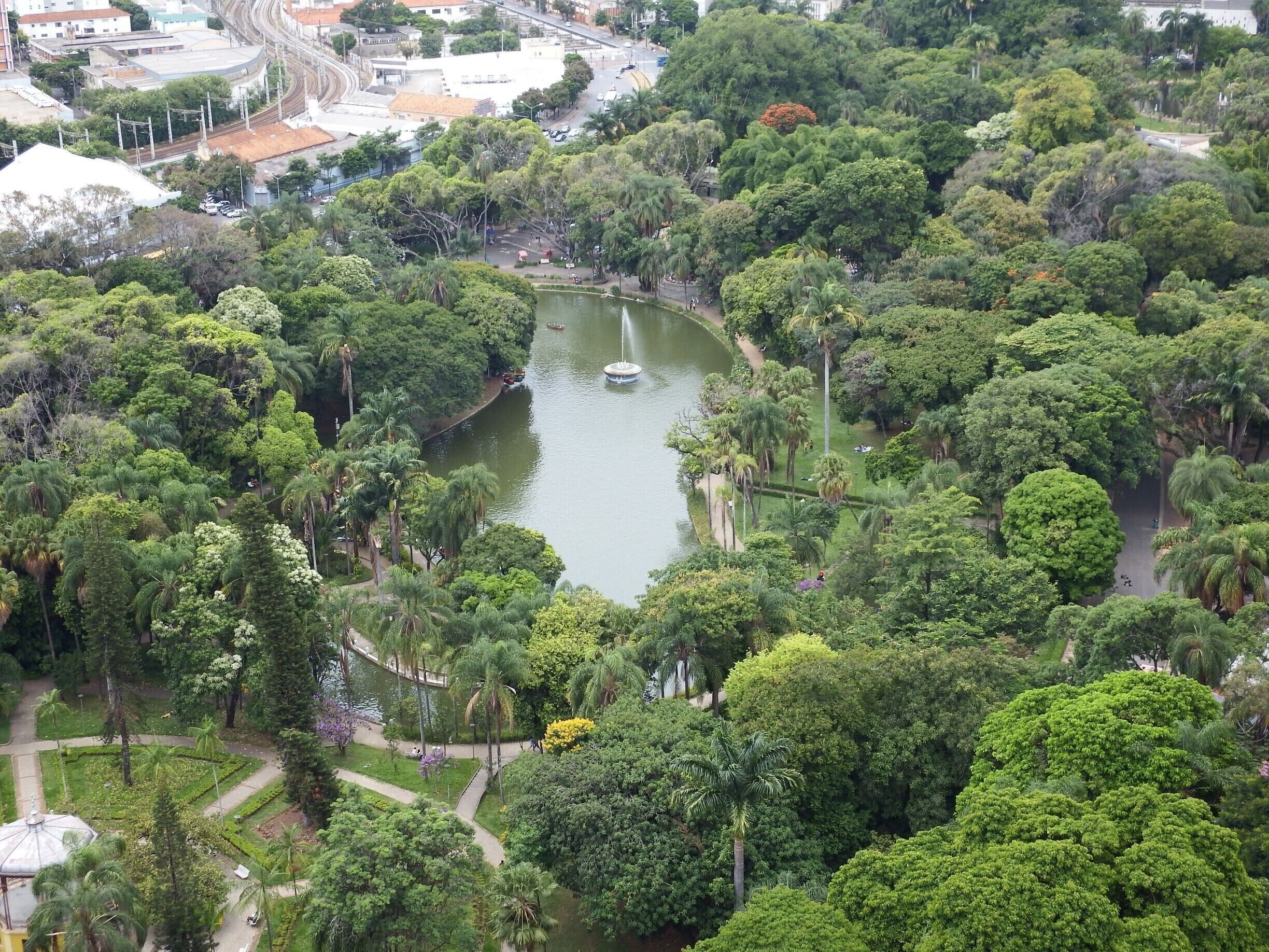 Um oásis de verde no centro da cidade de Belo Horizonte-Brasil.
An oasis of green in the center of the city of Belo Horizonte-Brazil.
#Green