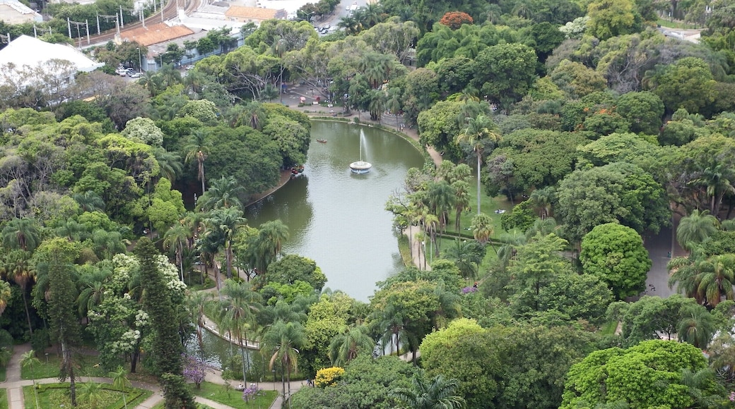 Um oásis de verde no centro da cidade de Belo Horizonte-Brasil.
An oasis of green in the center of the city of Belo Horizonte-Brazil.
#Green