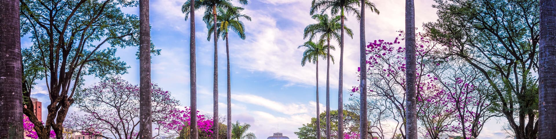 Belo Horizonte, Minas Gerais, Brazil