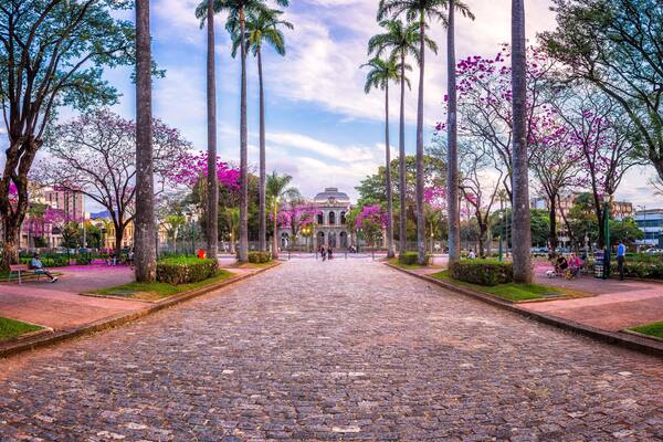 Uma rua de pedras adornada com altas palmeiras e flores cor-de-rosa vibrantes, que conduz a um edifício histórico com cúpula.