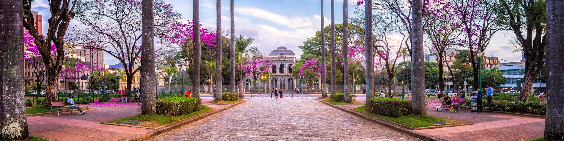Calle adoquinada bordeada por altas palmeras y flores rosas en flor, que conduce a un edificio histórico con una cúpula.