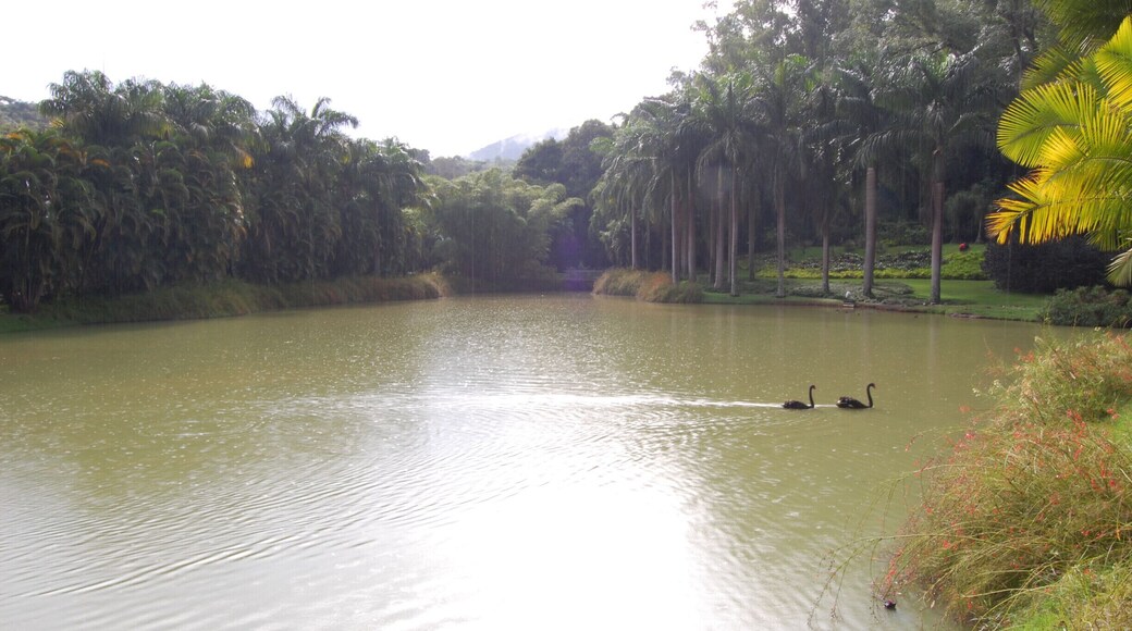 'The trip to the incredible botanical garden/contemporary arts museum of Inhotim' ...the largest open-air museum in Latin America.