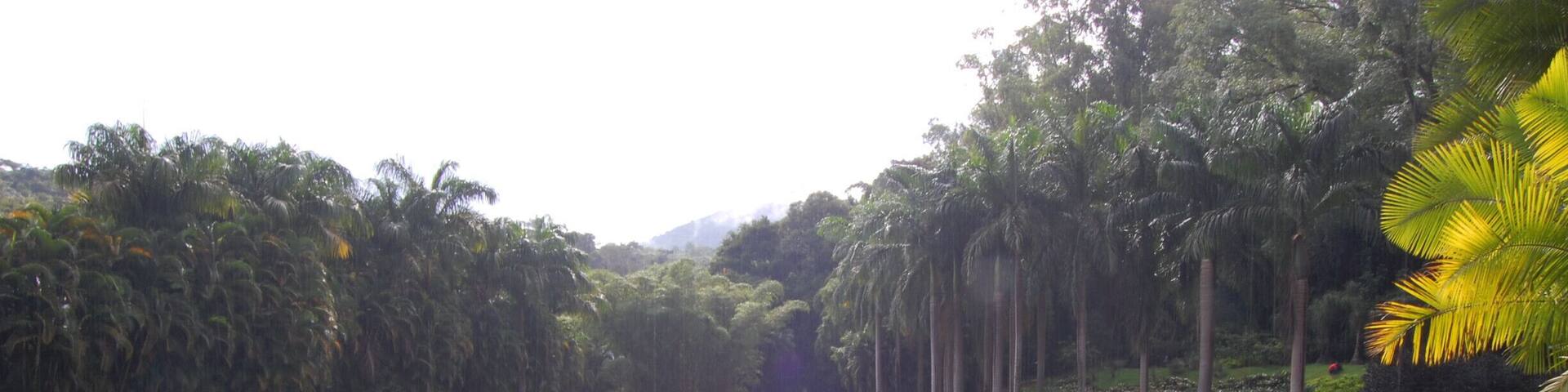 'The trip to the incredible botanical garden/contemporary arts museum of Inhotim' ...the largest open-air museum in Latin America.