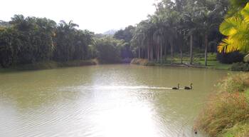 'The trip to the incredible botanical garden/contemporary arts museum of Inhotim' ...the largest open-air museum in Latin America.