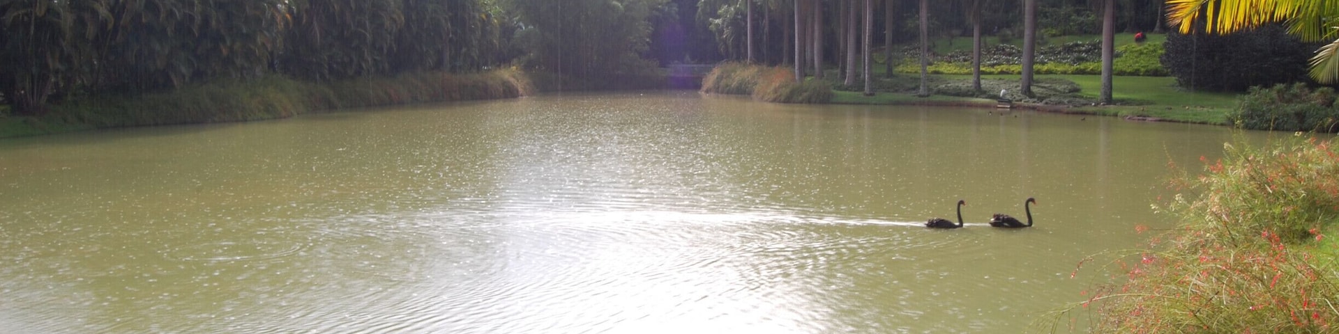 'The trip to the incredible botanical garden/contemporary arts museum of Inhotim' ...the largest open-air museum in Latin America.