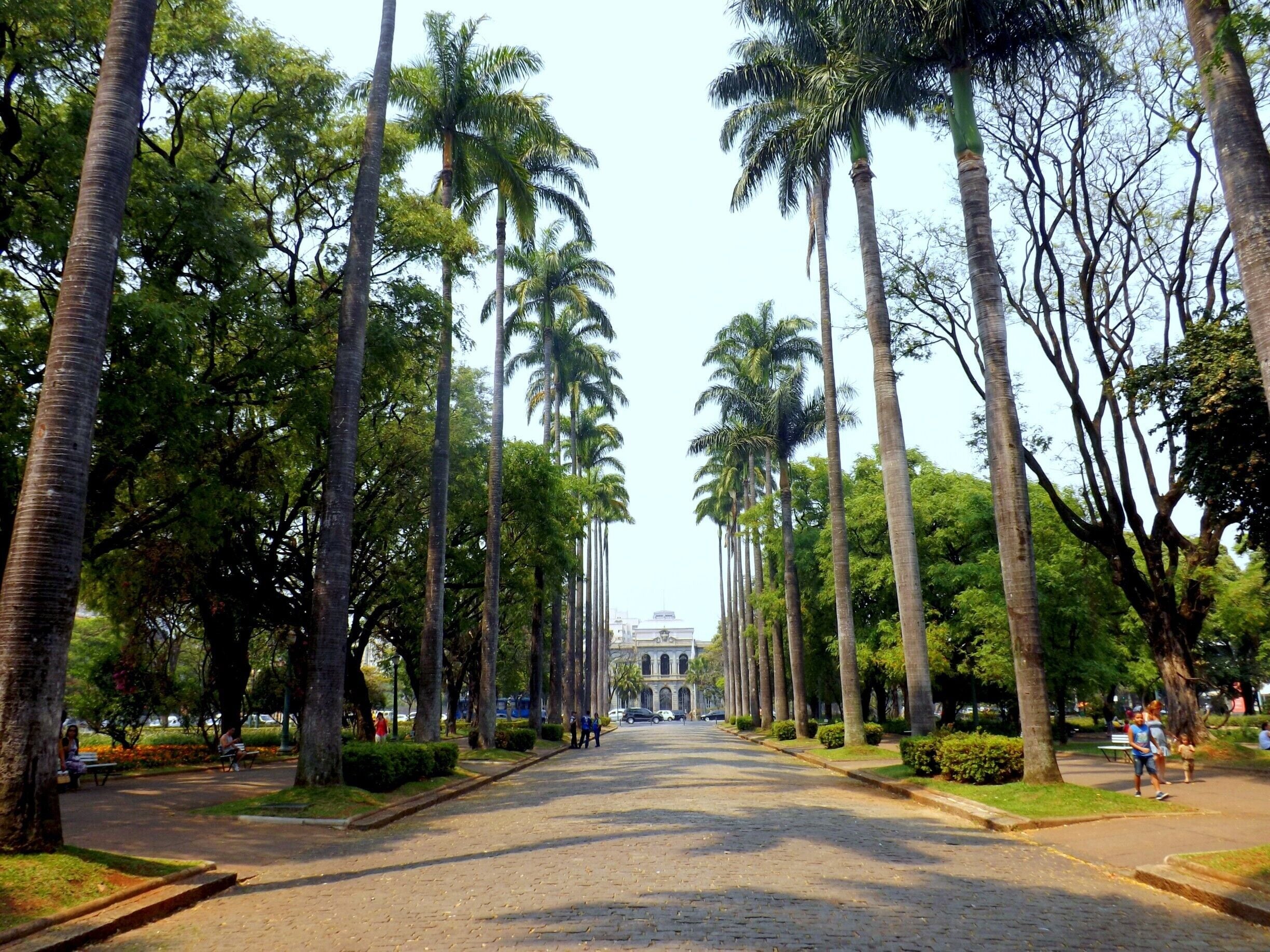 Praça da Liberdade em Belo Horizonte-Minas Gerais-Brasil. Ao fundo o Palácio da Liberdade, sede do governo estadual.
Liberty Square in Belo Horizonte-Minas Gerais-Brazil. In the background is the Palácio da Liberdade, former  seat of state government.
#Green