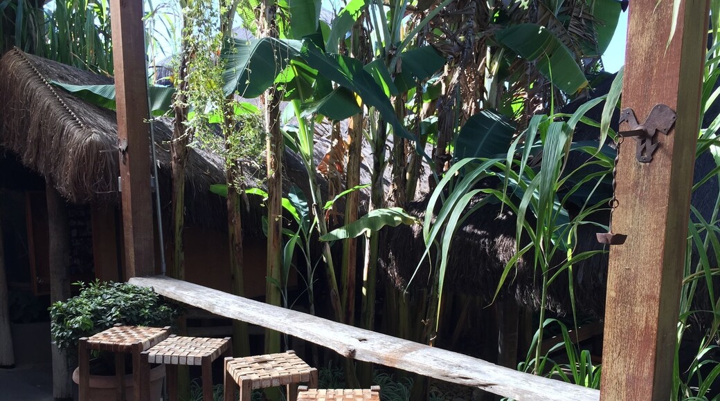 Typical restaurant: rustic and cozy