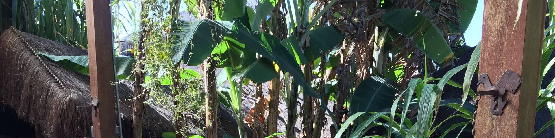 Typical restaurant: rustic and cozy