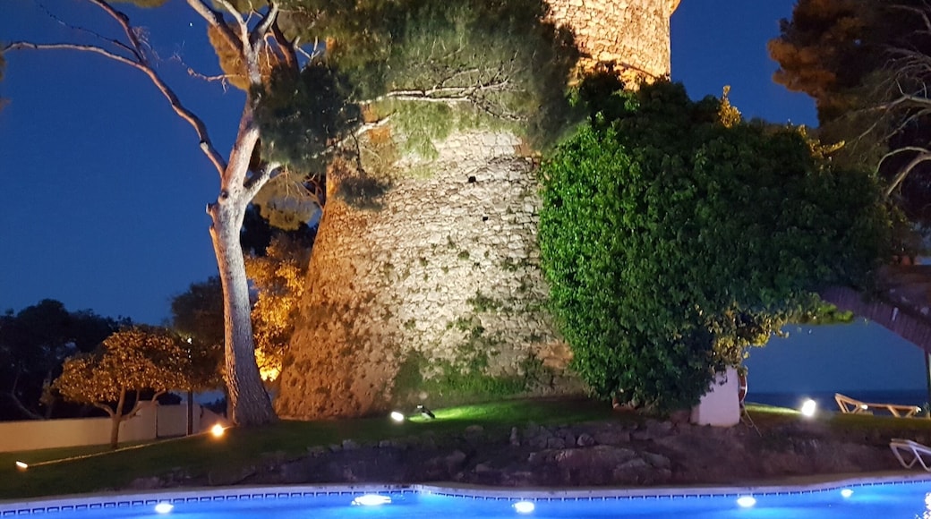 Pool view at night